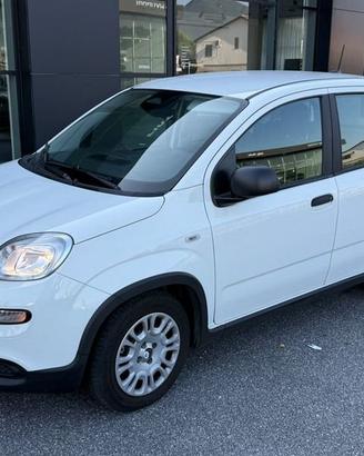 FIAT Panda NEW 1.0 70cv Hybrid PANDA