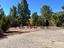 Immagine 13