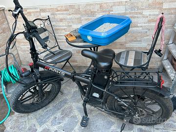 Biciclette elettrica