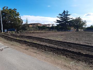 Terreno via Sorbe rosse