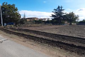 Terreno via Sorbe rosse