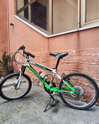 Bici Bambino Montana con 6 marce (mountain-bike)