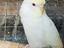 Immagine 3