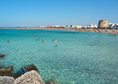 Solare appartamento a torre mozza 4/6 p.l