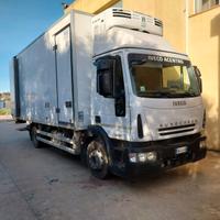 Eurocargo Iveco 120E 18 2009 frigo e sponda15q