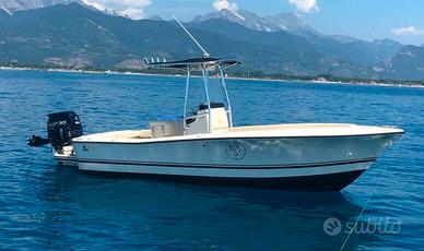 AL CUSTOM 21 + 150HP SUZUKI Anno 2017