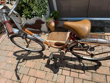 Bicicletta pieghevole