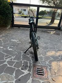 E- BIKE  FOCUS JAM 2