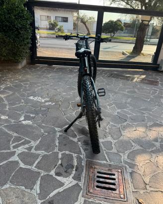 E- BIKE  FOCUS JAM 2