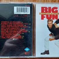 CD Big Fun - A pocketful of dreams