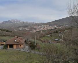 Splendida villa 175 mq con vigneto e terreno