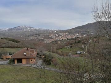 Splendida villa 175 mq con vigneto e terreno