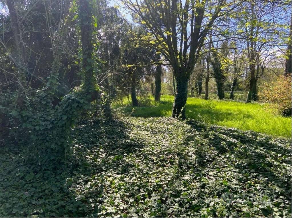 Rustico / Casale di 1083 m² con più di 5 locali a - Vista 6