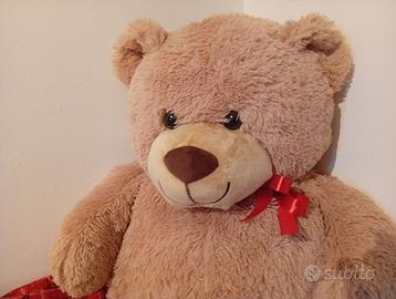 Orso dolcissimo