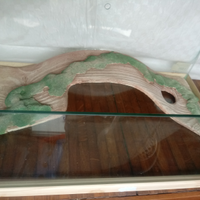 Teca terrario in vetro