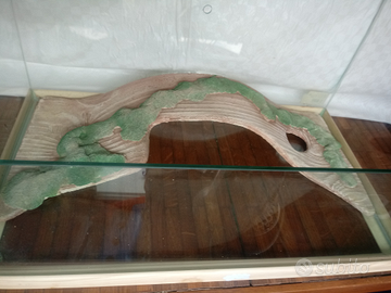 Teca terrario in vetro