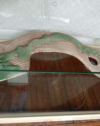 Teca terrario in vetro