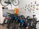 attivita-di-noleggio-bici