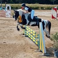 Femmina belga 5 anni