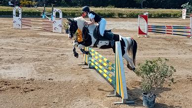 Femmina belga 5 anni