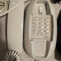 2 telefoni fissi