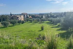 Terreno vista panoramica