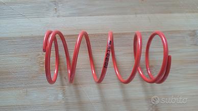 molla rossa malossi MHR