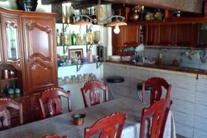 Casa con terrazzo e giardino