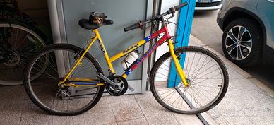 Bicicletta Mountain Bike Winner 26'' unisex
