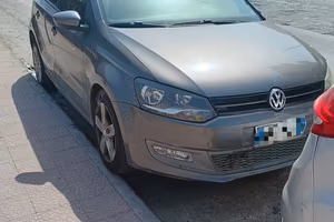 Polo Grigia