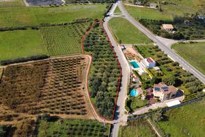 Terreno agricolo a Partinico,SS113, svincolo Grisì