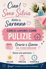 Pulizie domestiche