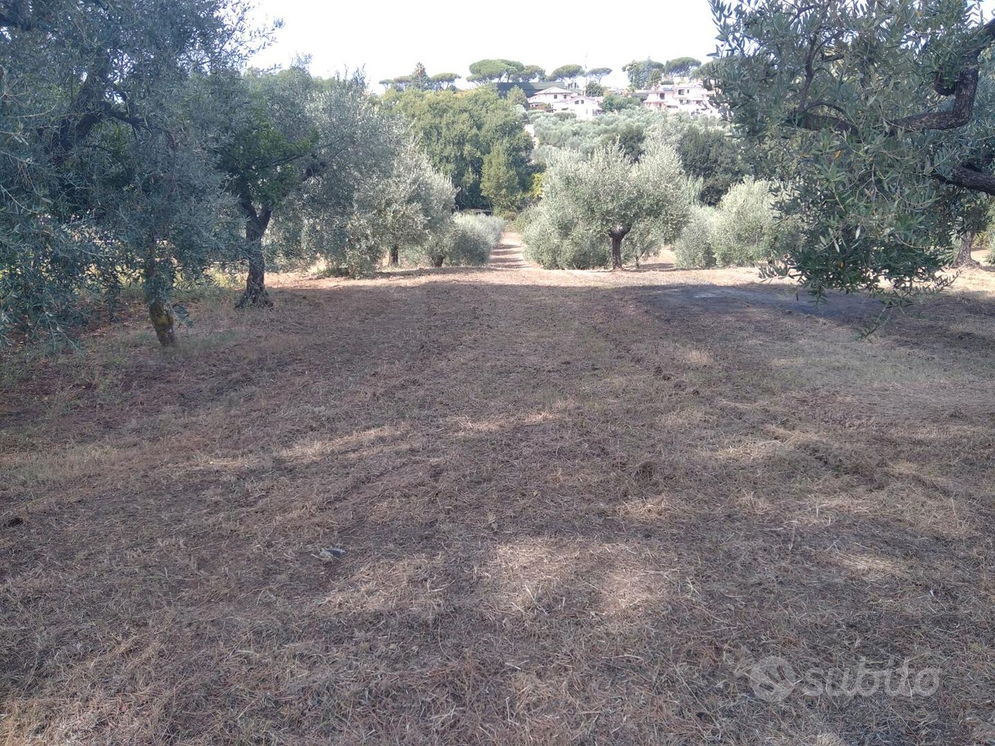 Terreno agricolo edificabile - Ansicht 4