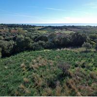 Terreno Agricolo Vista Mare