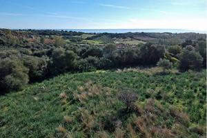 Terreno Agricolo Vista Mare