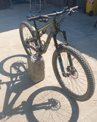 bicicletta downhill 