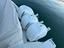 Immagine 12