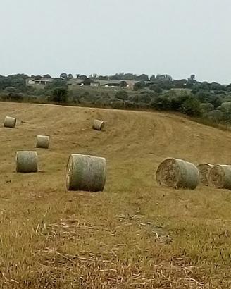 balloni 