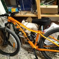 bicicletta treck