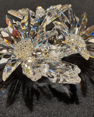 Cristallo Swarovski originale