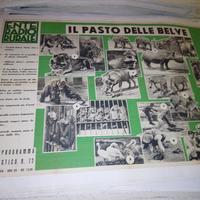 manifesto poster pubblicitario ente radio rurale