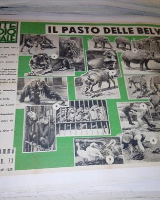 manifesto poster pubblicitario ente radio rurale