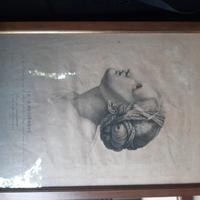 Incisioni, disegni e stampe antiche