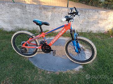 bici mtb da bambino misura 19