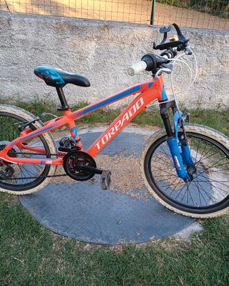bici mtb da bambino misura 19