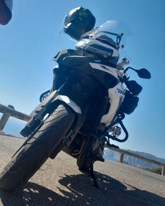 Moto Benelli Trk502