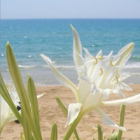 PROMO Splendida casa vista mare bandiera blu