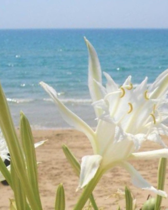 PROMO Splendida casa vista mare bandiera blu