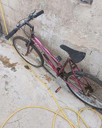 bicicletta 26
