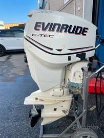 Evinrude etec 115cv 2t 2010
